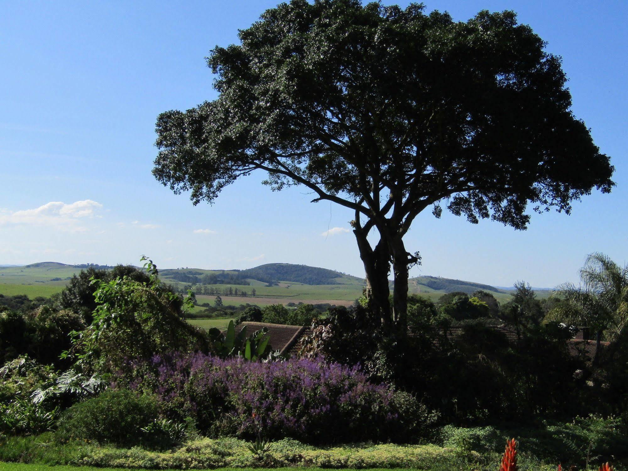 Отель Sugar Hill Manor Eshowe Экстерьер фото